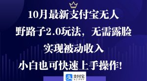 10月最新支付宝无人野路子2.0玩法，无需露脸，实现被动收入，小白也可…-云资源库