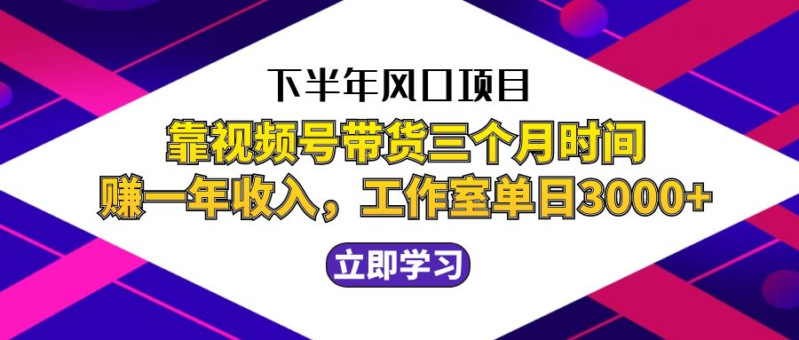 下半年风口项目，靠视频号带货三个月时间赚一年收入，工作室实测单日3…-云资源库