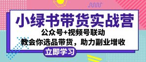 小绿书AI带货实战营：公众号+视频号联动，教会你选品带货，助力副业增收-云资源库