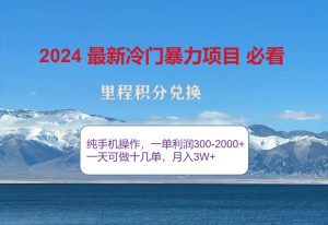 2024惊爆冷门暴利！出行高峰来袭，里程积分，高爆发期，一单300+—2000…-云资源库