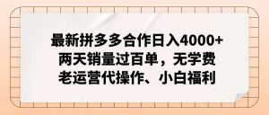 拼多多最新合作日入4000+两天销量过百单，无学费、老运营代操作、小白福利-云资源库