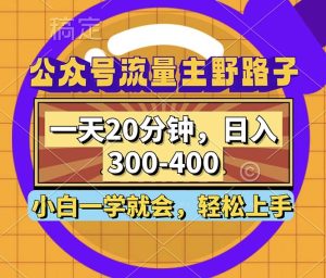 公众号流量主野路子玩法，一天20分钟，日入300~400，小白一学就会-云资源库