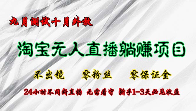 淘宝无人直播最新玩法，九月测试十月外放，不出镜零粉丝零保证金，24小…-云资源库