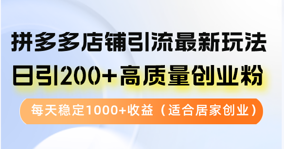 拼多多店铺引流最新玩法，日引200+高质量创业粉，每天稳定1000+收益（…-云资源库