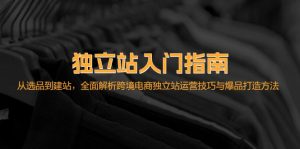 独立站入门指南：从选品到建站，全面解析跨境电商独立站运营技巧与爆品…-云资源库