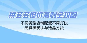 拼多多低价高利全攻略：不同类型店铺配置不同打法，无货源玩法与选品方法-云资源库