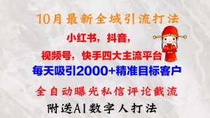 10月最新小红书，抖音，视频号，快手四大平台全域引流，，每天吸引2000…-云资源库