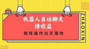 机器人自动聊天撸收益，单机日入500+矩阵操作当天落地-云资源库