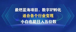 最燃蓝海项目  数字IP孵化  适合各个行业变现  小白也能日入5位数-云资源库