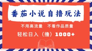 番茄小说最新自撸 不看流量 不看质量 轻松日入1000+-云资源库