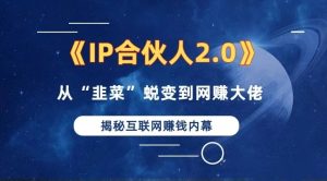 2024如何通过”知识付费“卖项目年入”百万“卖项目合伙人IP孵化训练营-云资源库