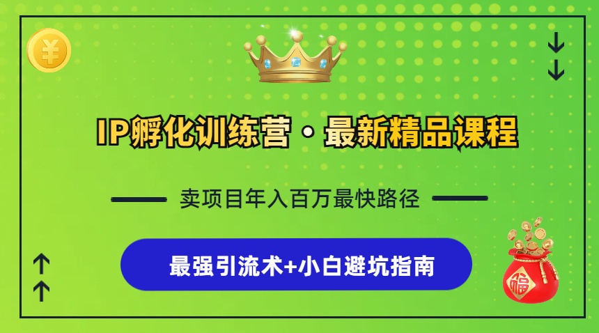 IP孵化训练营，知识付费全流程+最强引流术+小白避坑指南-云资源库