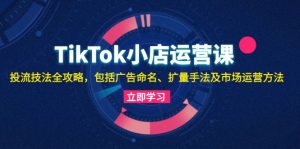 TikTok小店运营课：投流技法全攻略，包括广告命名 扩量手法及市场运营方法-云资源库